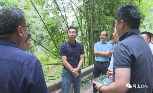 代軍深入龍華鎮(zhèn)調(diào)研指導(dǎo)，聚焦旅游項(xiàng)目開發(fā)新藍(lán)圖
